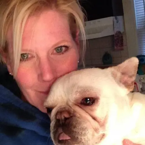 idamitvierbeine image 0